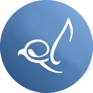 Eyas Landing Top Pediatric Therapy Clinic in Chicago