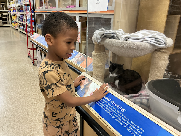 The Amazing Power of Furry Friends for Autistic & Neurodiverse Children